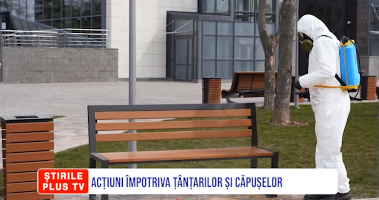 ACȚIUNI ÎMPOTRIVA ȚÂNȚARILOR ȘI CĂPUȘELOR