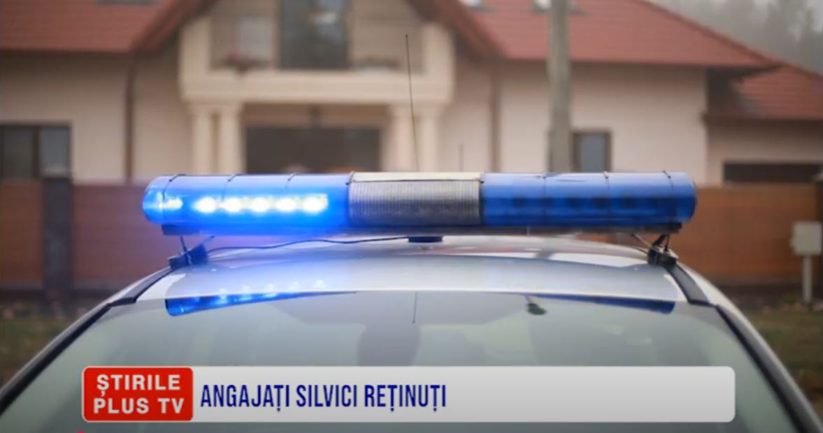 ANGAJATI SILVICI REȚINUȚI