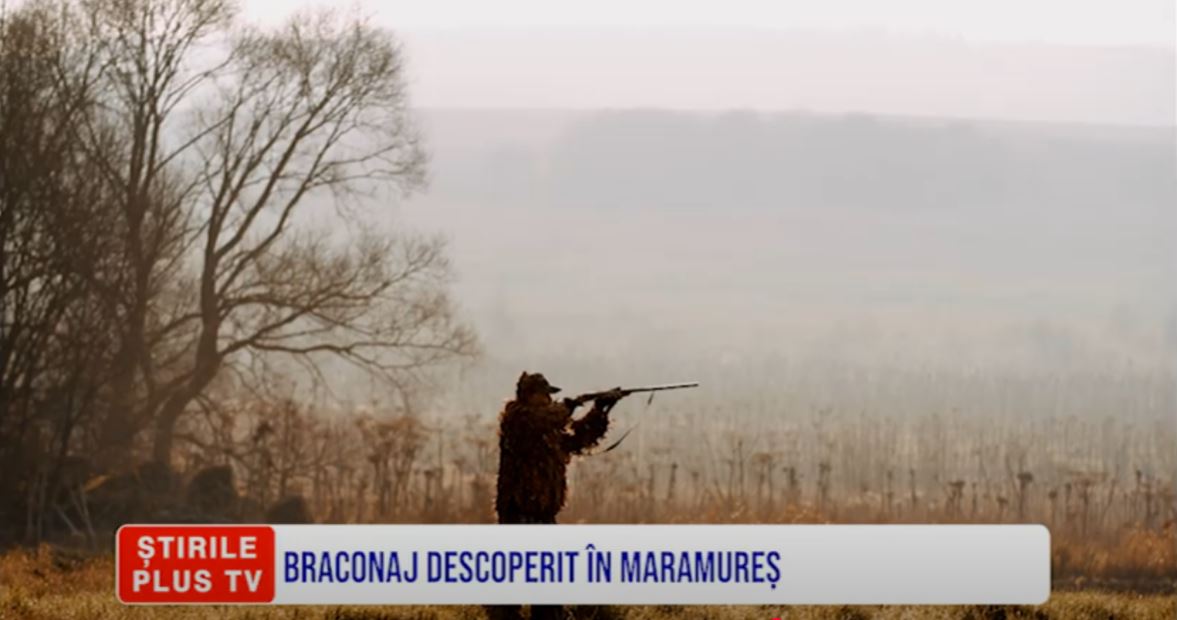 BRACONAJ DESCOPERIT ÎN MARAMUREȘ