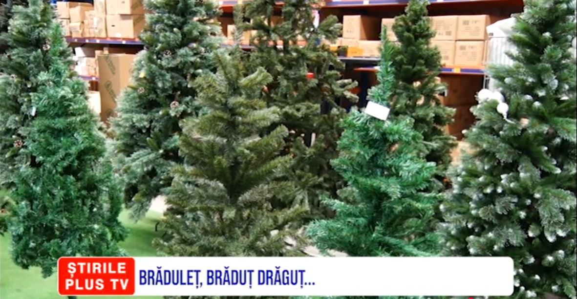 BRĂDULEȚ, BRĂDUȚ DRĂGUȚ...