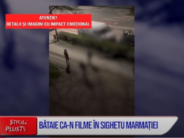 BĂTAIE CA-N FILME, ÎN SIGHETU MARMAȚIEI