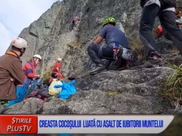 CREASTA COCOŞULUI, LUATĂ CU ASALT DE IUBITORII MUNTELUI