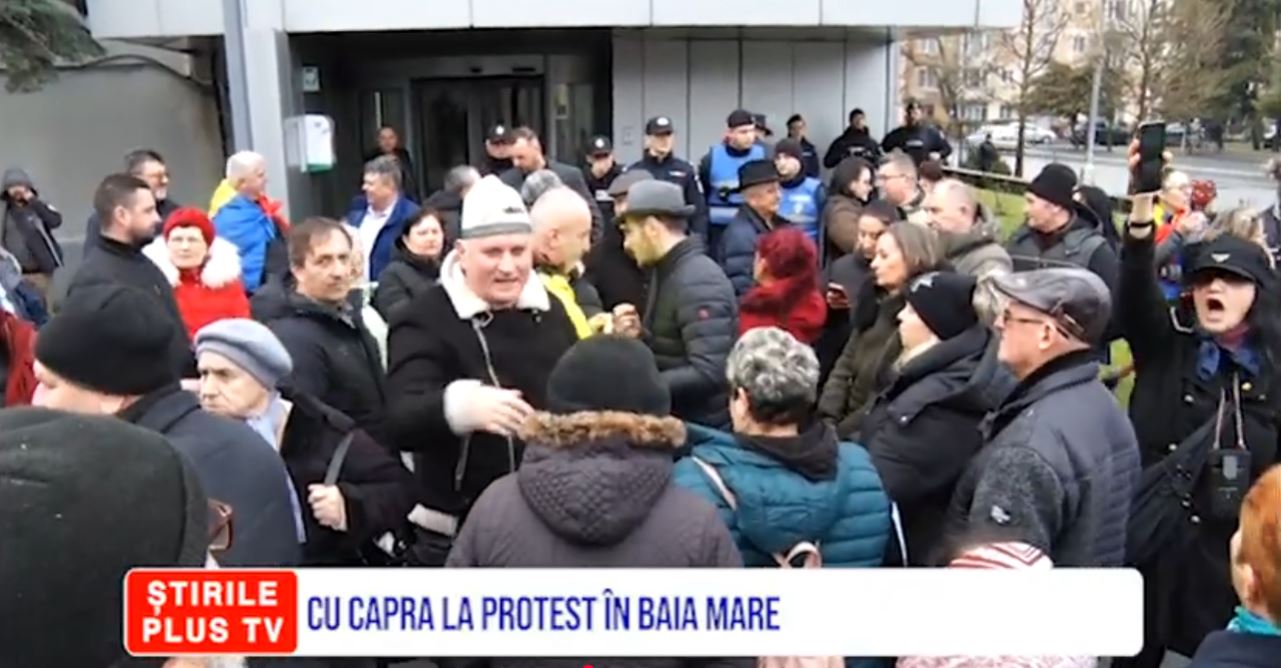 CU CAPRA LA PROTEST ÎN BAIA MARE