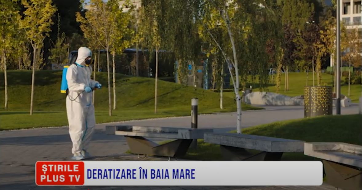 DERATIZARE ÎN BAIA MARE