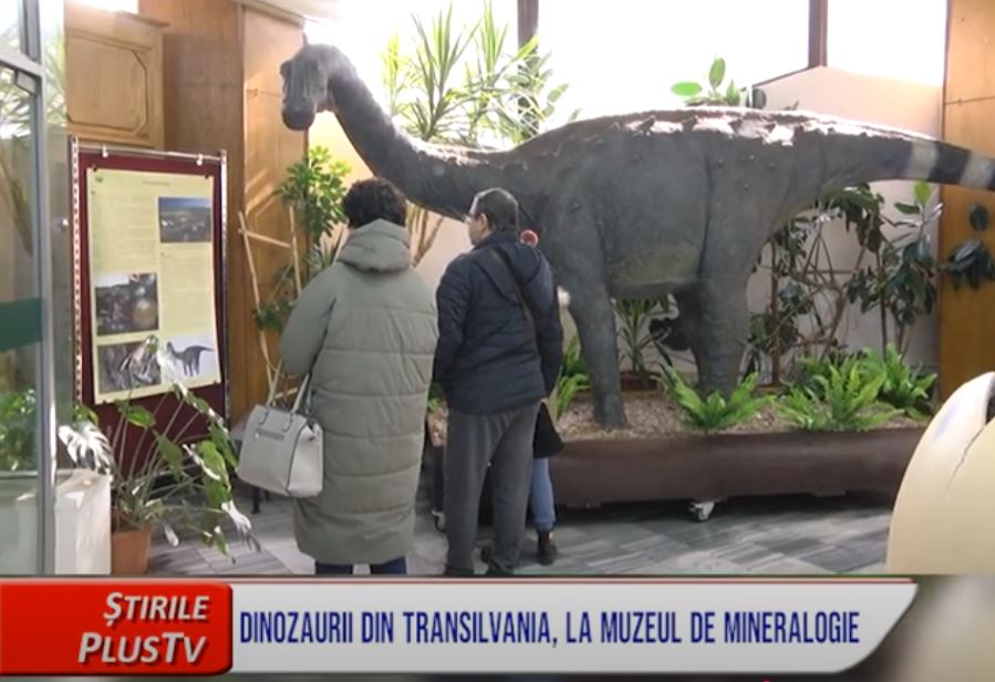 DINOZAURII DIN TRANSILVANIA, LA MUZEUL DE MINERALOGIE