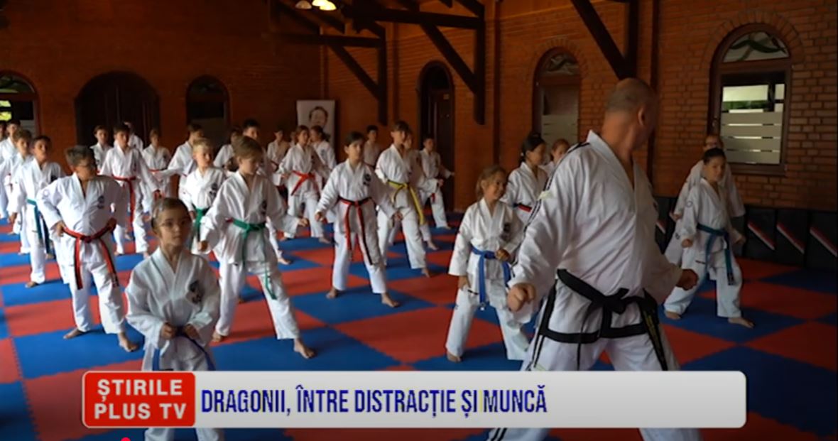 DRAGONII, ÎNTRE DISTRACȚIE ȘI MUNCĂ