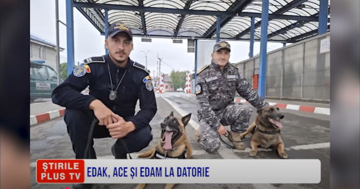 EDAK, ACE ȘI EDAM LA DATORIE