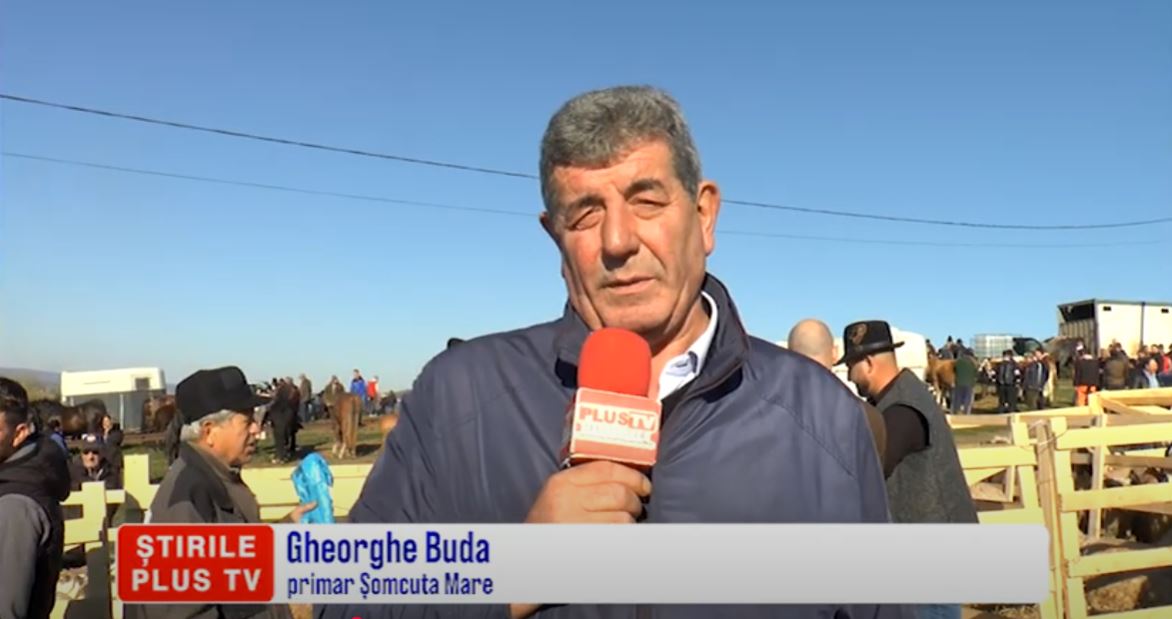 EXPOZIȚIA DE OVINE ȘI CAPRINE, LA ȘOMCUTA MARE
