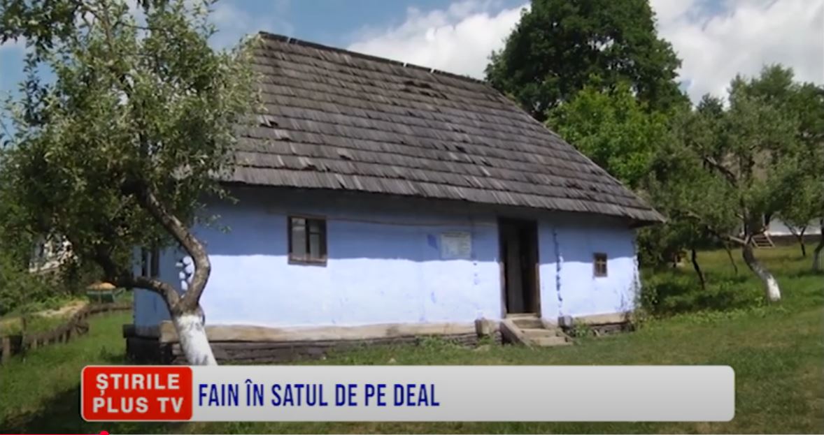 FAIN ÎN SATUL DE PE DEAL