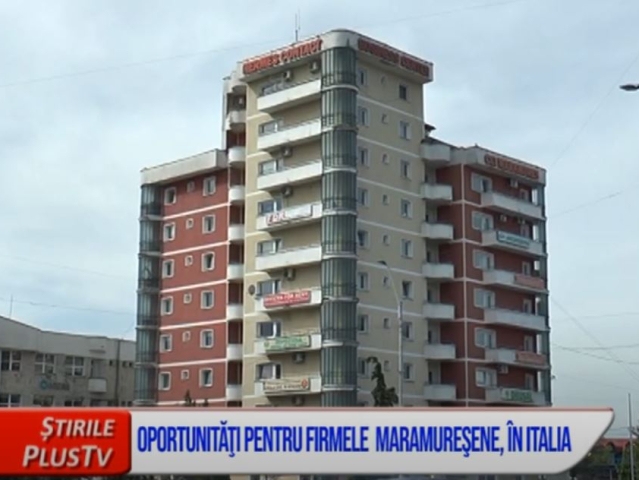 OPORTUNITĂŢI PENTRU FIRMELE  MARAMUREŞENE, ÎN ITALIA