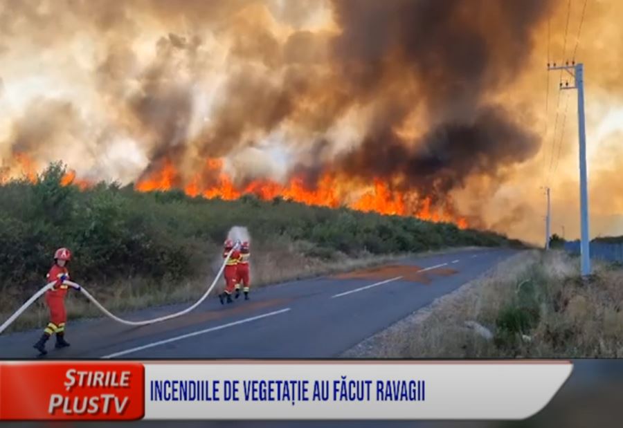 INCENDIILE DE VEGETAȚIE AU FĂCUT RAVAGII