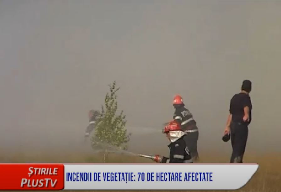 INCENDII DE VEGETAȚIE: 70 DE HECTARE AFECTATE