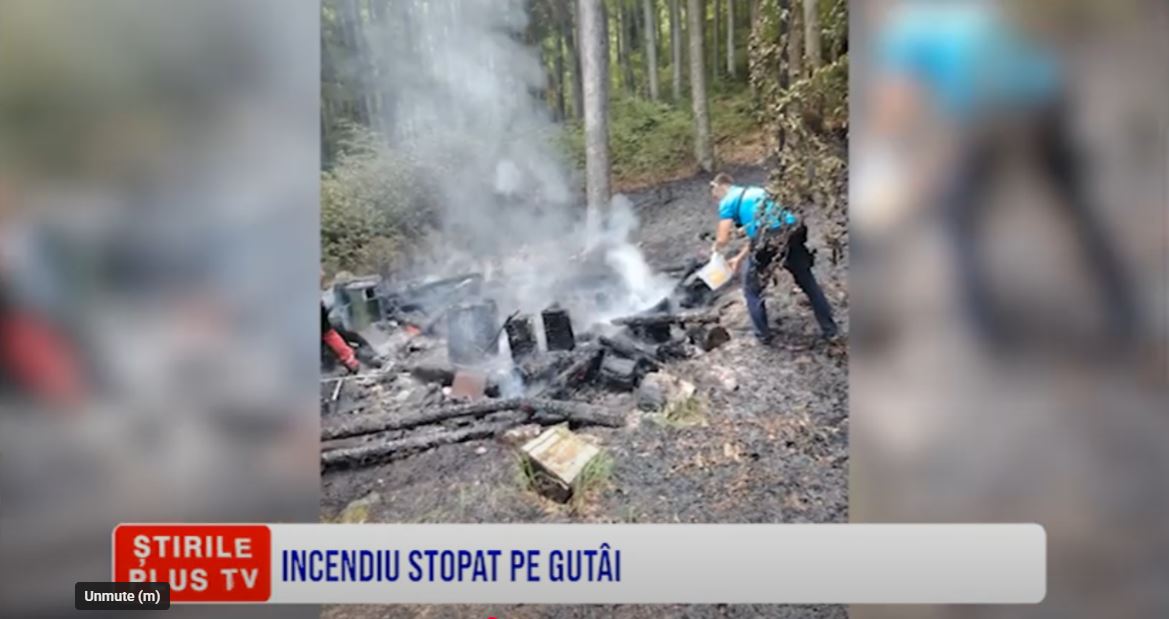 INCENDIU STOPAT PE GUTÂI