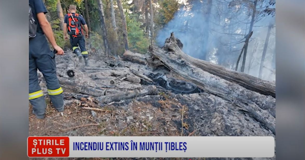INCENDIU EXTINS ÎN MUNȚII ȚIBLEȘ