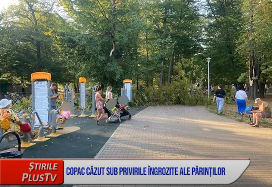 COPAC CĂZUT SUB PRIVIRILE ÎNGROZITE ALE PĂRINȚILOR