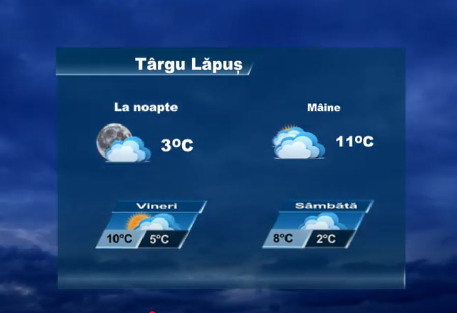 METEO 29 IANUARIE