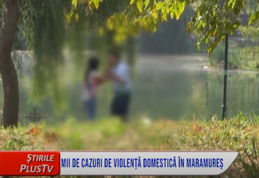 MII DE CAZURI DE VIOLENȚĂ DOMESTICĂ ÎN MARAMUREȘ