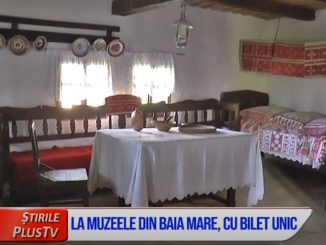 LA MUZEELE DIN BAIA MARE, CU BILET UNIC