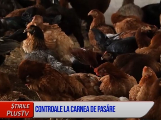 CONTROALE LA CARNEA  DE PASĂRE