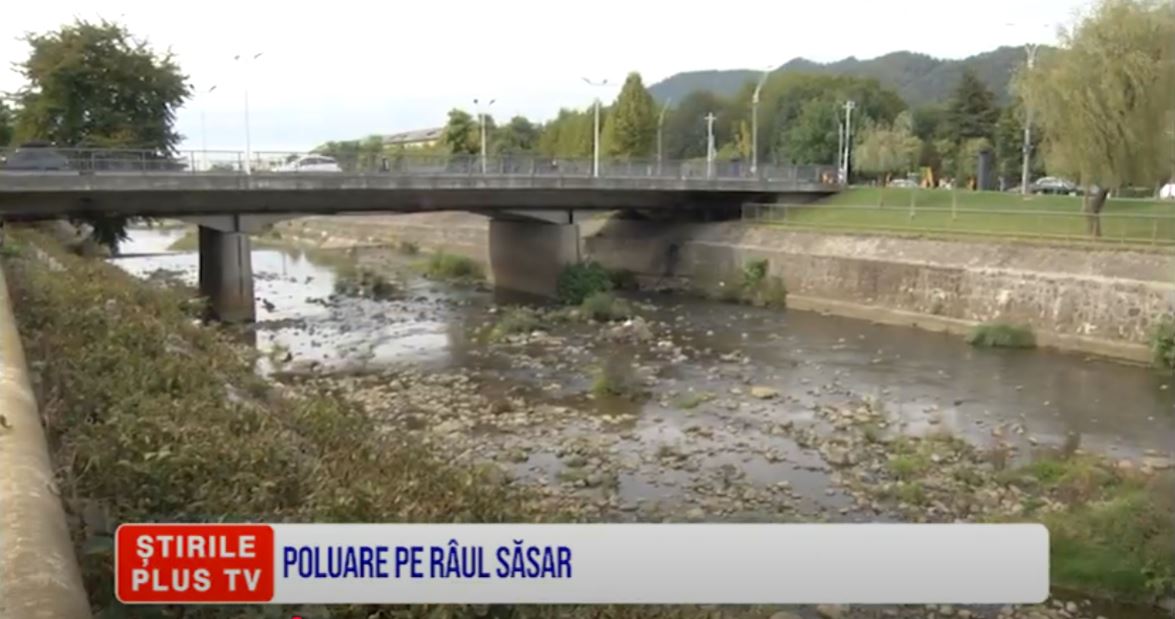 ȘTIRI PE SCURT 3 OCTOMBRIE