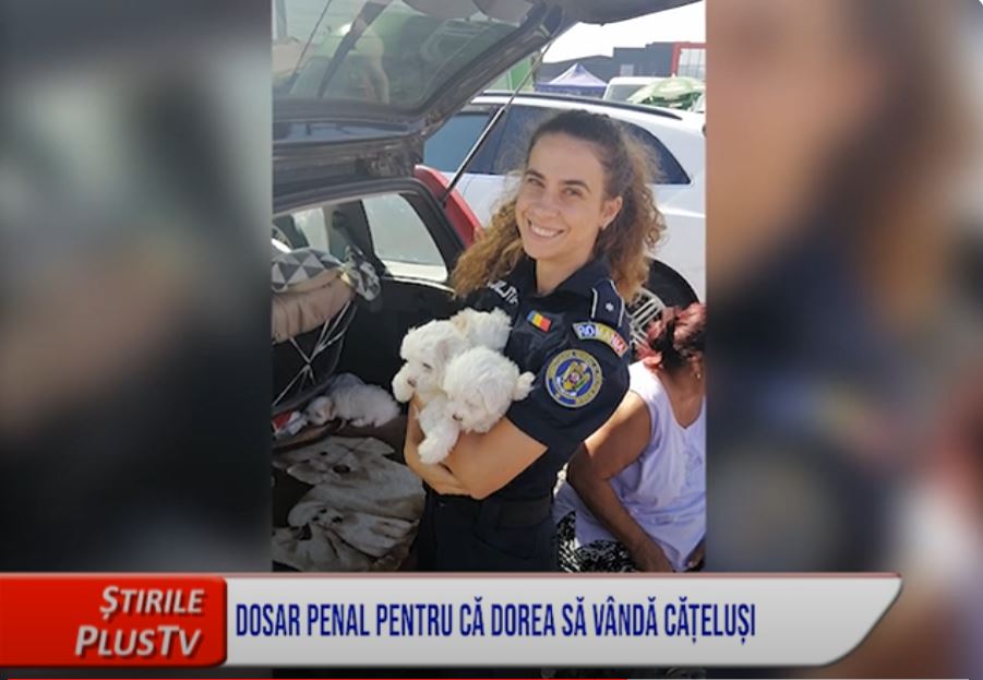 DOSAR PENAL PENTRU CĂ DOREA SĂ VÂNDĂ CĂȚELUȘI