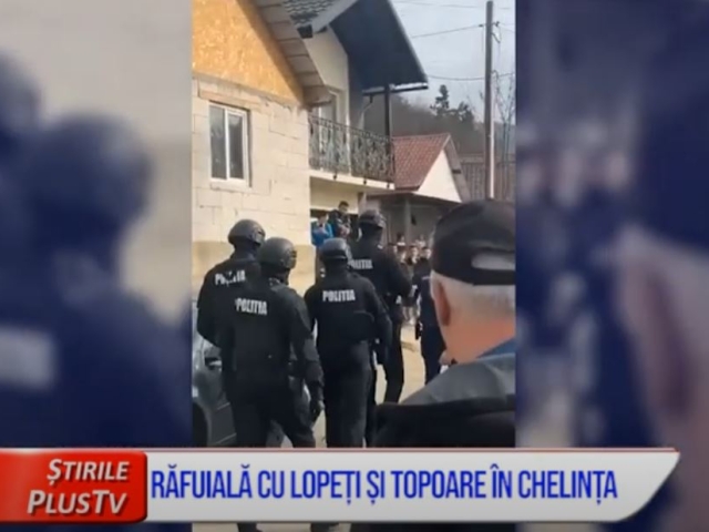 RĂFUIALĂ CU LOPEȚI ȘI TOPOARE ÎN CHELINȚA