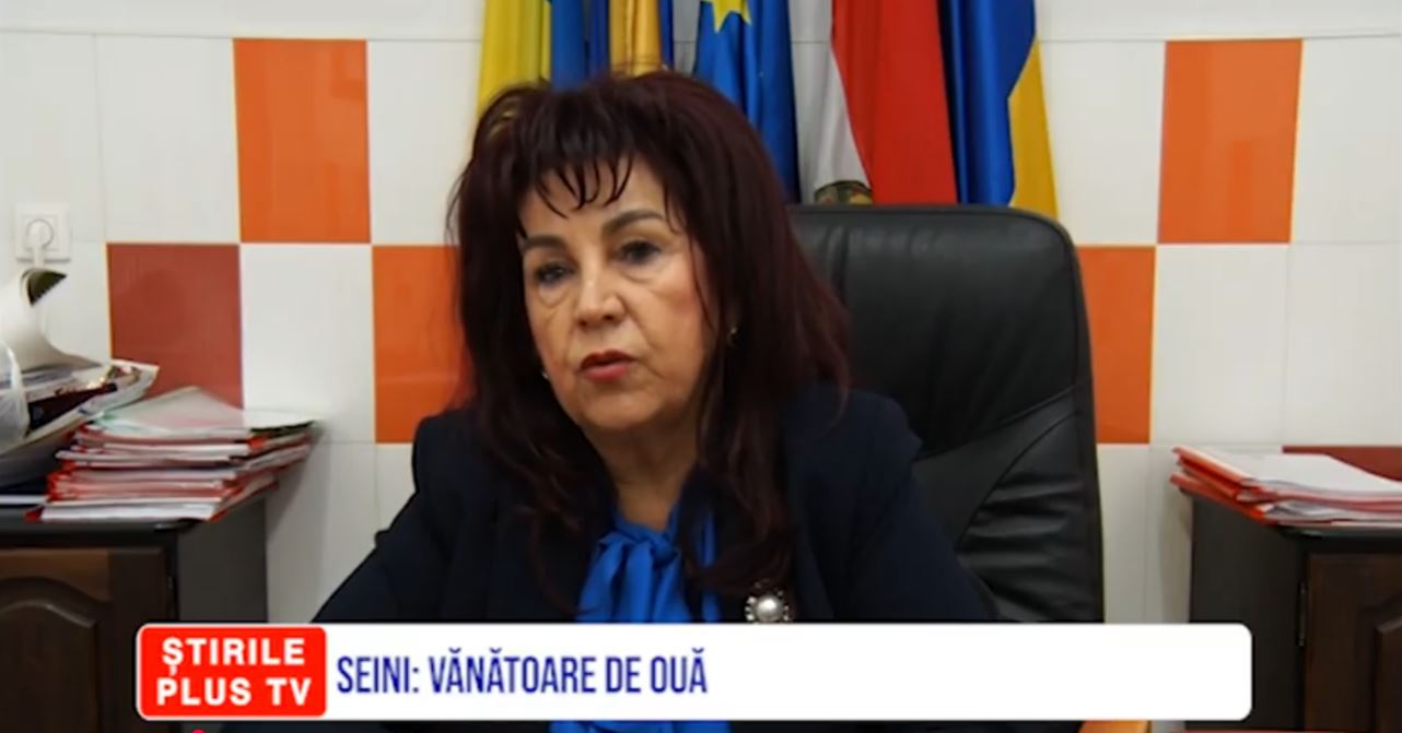 SEINI: VÂNĂTOARE DE OUĂ