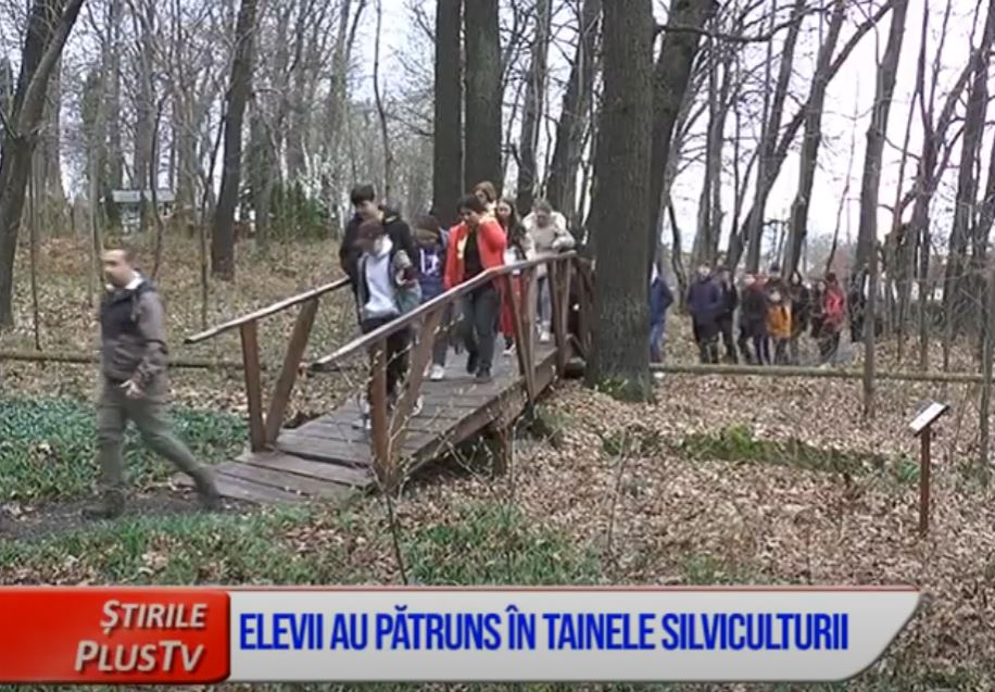 ELEVII AU PĂTRUNS ÎN TAINELE SILVICULTURII