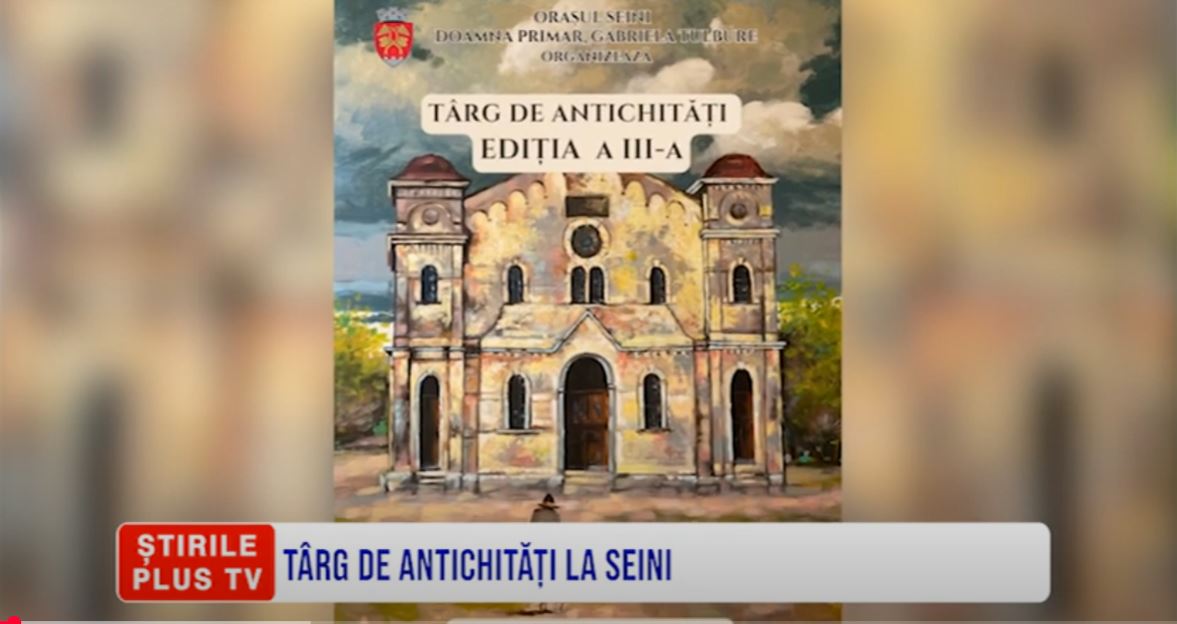 TÂRG DE ANTICHITĂȚI LA SEINI
