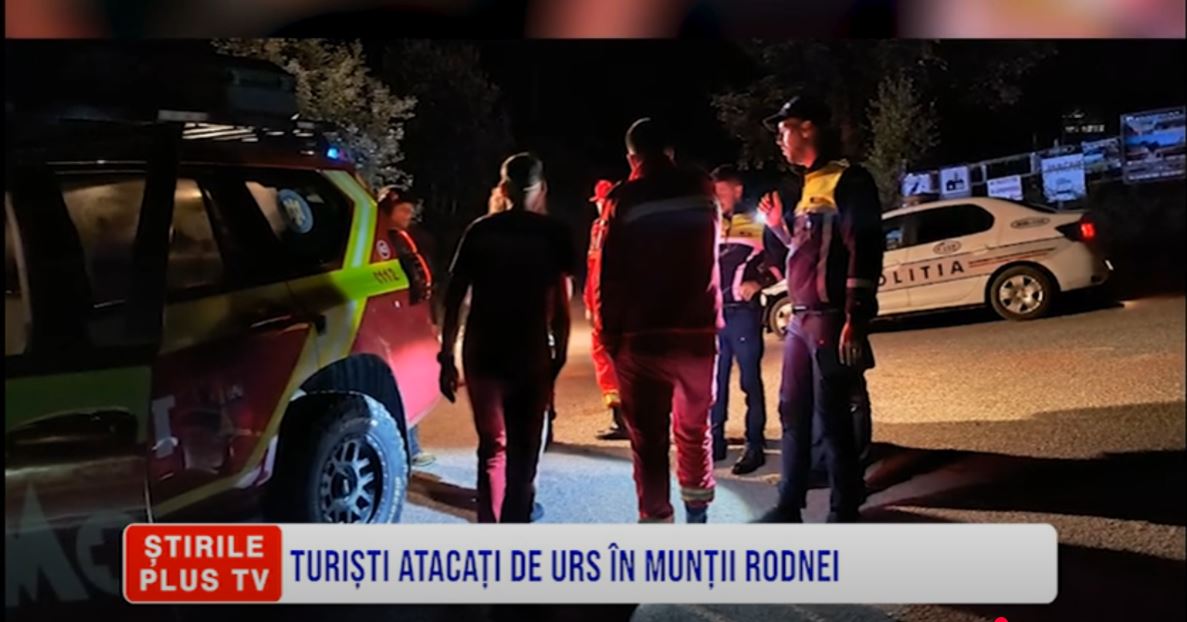 TURIȘTI ATACAȚI DE URS ÎN MUNȚII RODNEI