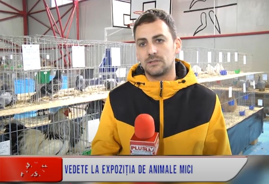 VEDETE LA EXPOZIȚIA DE ANIMALE MICI